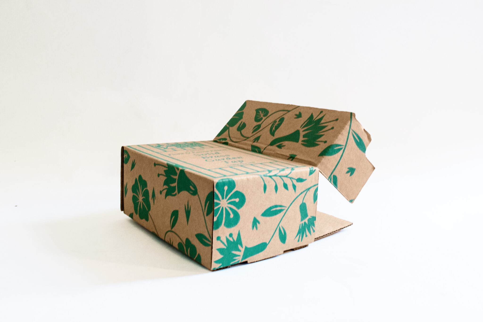 Caja 6